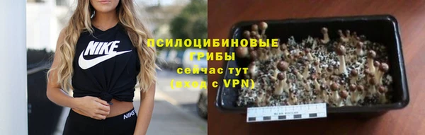 мет Лагань