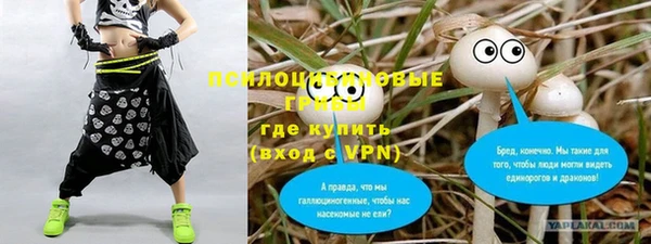 мет Лагань