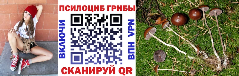 Купить  Киселёвск  Псилоцибиновые грибы Cubensis 
